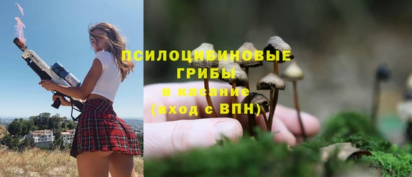 кокс Абаза