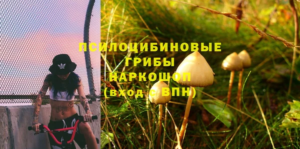 трава Алзамай