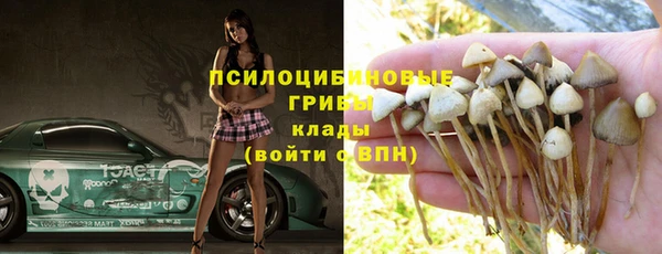 PSILOCYBIN Абинск