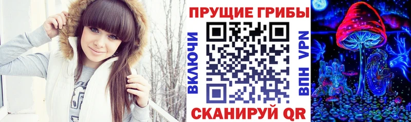 Псилоцибиновые грибы Psilocybine cubensis  Звенигород 
