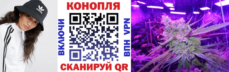 Бошки Шишки VHQ  магазин продажи   Звенигород 